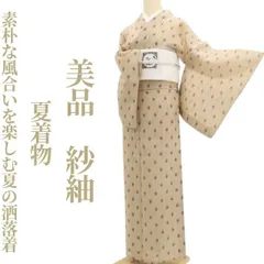 【美品・紗紬】美品 夏着物 正絹 tomihisa“素朴な風合いを楽しむ夏の洒落着”8789のサムネイル