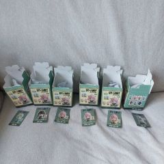 Pharfaite パルフェット すいみゃ先生コラボセーラーコスチューム 水着