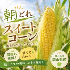 ねこ使い(⁠^⁠·^⁠) 様専用☆クール便着払い☆朝採りとうもろこし15本