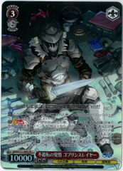ヴァイス 緻密な戦略 ゴブリンスレイヤー SR - メルカリ