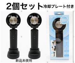 新品 2個セット ペルチェクーラー ハンディファン 冷却プレート - メルカリ