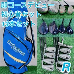 即コースデビュー！ ゴルフクラブ フルセット 初心者 メンズ E3888