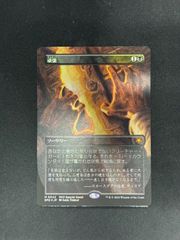 MTG 対抗呪文 日本語 ボーダーレス foil - メルカリ