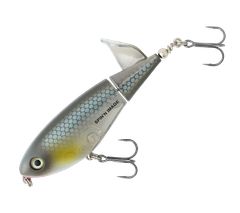 Fish Colca キタノアカヒレタビラ Quality Life (フィッシュコルカ