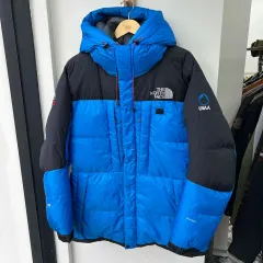 THE NORTH FACE バルトロ 800 グースダウン