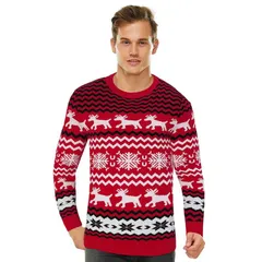 セオリア レディース アウター ニット・セーター プリント Seoria Mens Festive Knit Sweater Holiday Print Long Sleeve Pullover foのサムネイル