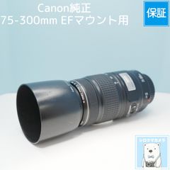 VARI SONY Aマウント用 420-800mm 超望遠レンズ 白 z0026 - メルカリ
