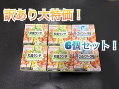 再⭐️お値下げしました！《超！訳あり大特価！期間限定！》はじめての 