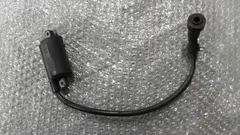 ドラッグスター250　VG02J-017　の　イグニッションコイル　前:#1780973412のサムネイル