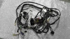 ドラッグスター250　VG02J-017xxx　の　メインハーネス:#1780974322のサムネイル