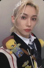 StrayKids BD TOWER RECORDS特典 Felix 2023 5-STAR