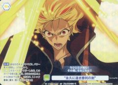Fate/strange Fake ヴァイスシュヴァルツブラウ リチャード cp - メルカリ