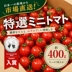 【青果市場から直送！】熊本県産 特選ミニトマト 約400g 野菜 青果 市場 トマト とまと 訳あり トマト 大賞 受賞 フルーツ ギフト 贈答 お歳暮のサムネイル
