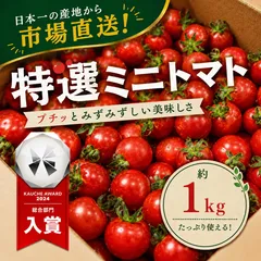 【青果市場から直送！】熊本県産 特選ミニトマト 約1kg 野菜 青果 市場 トマト とまと 訳あり トマト 大賞 受賞 フルーツ ギフト 贈答 お歳暮のサムネイル