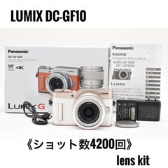 ショット数 660回！オリンパス OLYMPUS PEN E-PL10 ダブルレンズ
