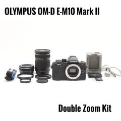 ショット数 660回！オリンパス OLYMPUS PEN E-PL10 ダブルレンズ