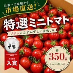【青果市場から直送！】熊本県産 特選ミニトマト 約350g 野菜 青果 市場 トマト とまと 訳あり トマト 大賞 受賞 フルーツ ギフト 贈答 お歳暮のサムネイル