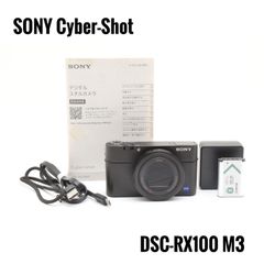 ショット数 660回！オリンパス OLYMPUS PEN E-PL10 ダブルレンズ 