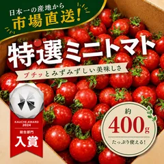 【青果市場から直送！】熊本県産 特選ミニトマト 約400g 野菜 青果 市場 トマト とまと 訳あり トマト 大賞 受賞 フルーツ ギフト 贈答 お歳暮のサムネイル