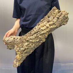 ④超特大巨大筒コルク コルク樹皮 コルクチューブ 爬虫類 ビカクシダ