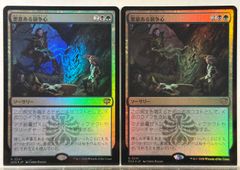 MTG Unstable UST 基本土地 平地島沼山森 フルアート 英語版 5種 5枚