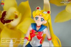 アミエグラン 美少女戦士セーラームーン セーラーヴィーナス ガレージ