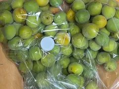 送料込　自家製「南高梅M」3ｋｇ　手もぎ　熟手前のサムネイル