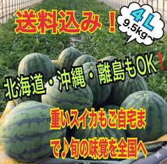 栽培50年西瓜農家直送鮮度抜群☆著名人様御用達西瓜の匠厳選某ブランド