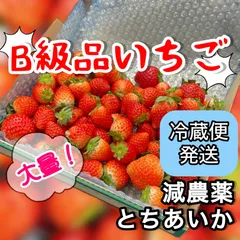 訳あり　規格外　いちご　とちあいか　冷蔵便　減農薬　モリンガ　カカオ　ジャム　加工品のサムネイル