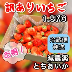 いちご　とちあいか　冷蔵便　栃木県産　新鮮　朝採り　カカオ　モリンガ　詰め合わせ　訳ありのサムネイル