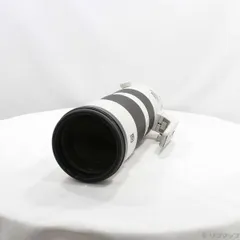 2026年最新】SONY FE 200-600mm F5.6-6.3の人気アイテム - メルカリ