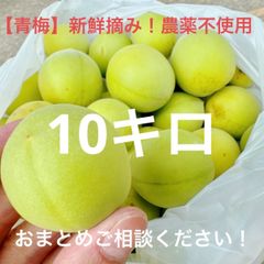 おまけ有】本日朝採れ！府中市産無農薬青梅 10kg（手摘み・大容量お得