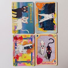 이것은 무엇 여기는 일발 아르테미스!! 아르테미스의 위기 루나 & 아르테미스 / 미소녀 전사 세일러 문 Sailor Moon Artemis Luna