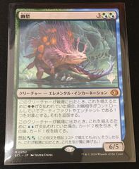 MTG 幽愁 日本語版 - メルカリ