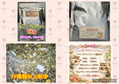 大好評♪モモンガオリジナルフード800g（400g×2） - メルカリ