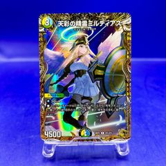 王導聖霊 アルファディオス シークレット アルカディアスの書 - メルカリ