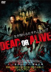 デッド・オア・アライブ 来日 コンサートチケット 半券 デッド・オア・アライブ 来日 コンサートチケット 半券 - メルカリ