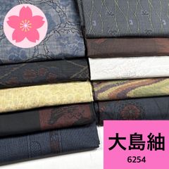 アンジュ 様専用【TAMA屋】全て正絹 全て本場大島紬 まとめ10点TM2361
