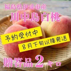 【農家直送】福島県伊達市産 川中島白桃 2kg 贈答品 大玉厳選 完熟桃(8月中旬以降順次発送)のサムネイル