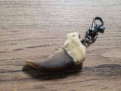 羆 熊の爪 お守り 7cm 羆 熊の爪 お守り 7cm - メルカリ