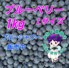 自然農法 ブルーベリー 3000g 冷凍 自然農法 冷凍ブルーベリー 3000g - メルカリ