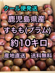 2026年最新】鹿児島 すももの人気アイテム - メルカリ