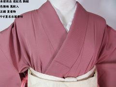 おまとめ5着 洗える夏着物 色無地 絽・紗 SS寸 一つ三越誂え有 個別 