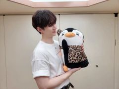 2PM ジュノ☆Before Midnight ペンペン抱き枕ぬいぐるみ☆ 2PM ジュノ ペンペン 抱き枕 ぬいぐるみ - メルカリ
