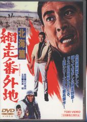 セル版「網走番外地 北海篇('65)」DVD 高倉健 大原麗子 千葉真一