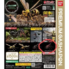 いきもの大図鑑アドバンス ブルドッグ レッド 未開封 出品