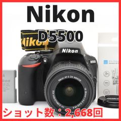 nikon D5500 標準+広角ズーム付き 専用キャリングバック付き - メルカリ