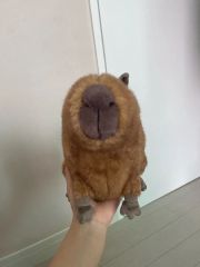 猫の恩返し ナトルぬいぐるみ 新品タグ付き どんぐり共和国限定品