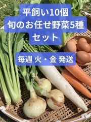 最後、6日発送。お昼終了、3L紅てまり500g - メルカリ