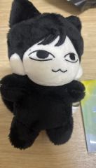 ENHYPEN JAY ジェイ 猫 マスター ぬいぐるみ 20cm - メルカリ